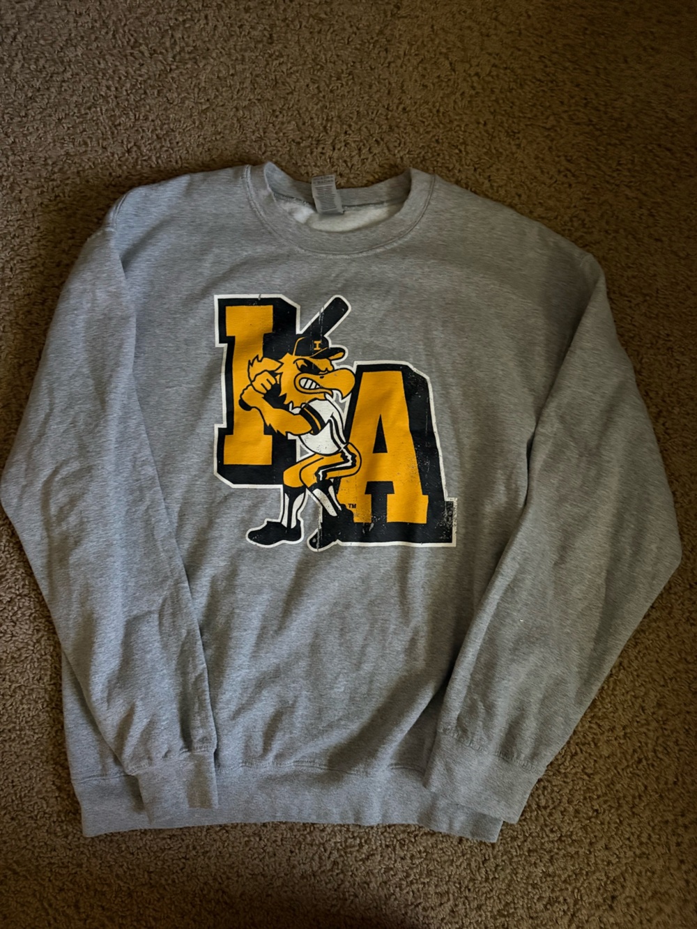 University of Iowa Baseball Crewneck